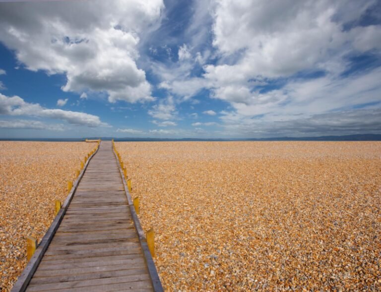 Live through walking