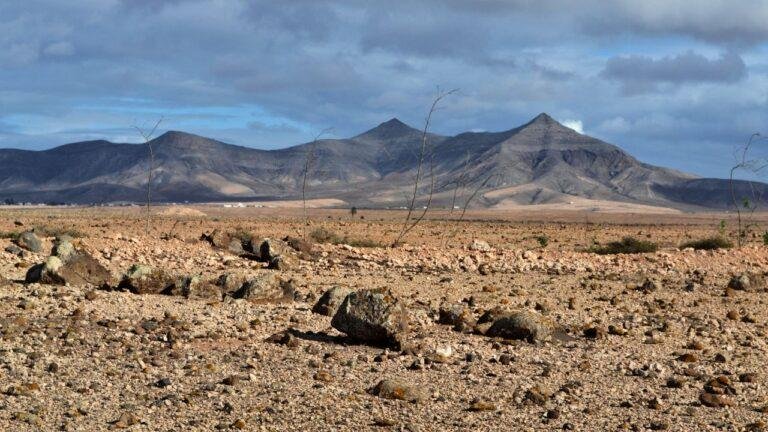 Why have you forsaken me?