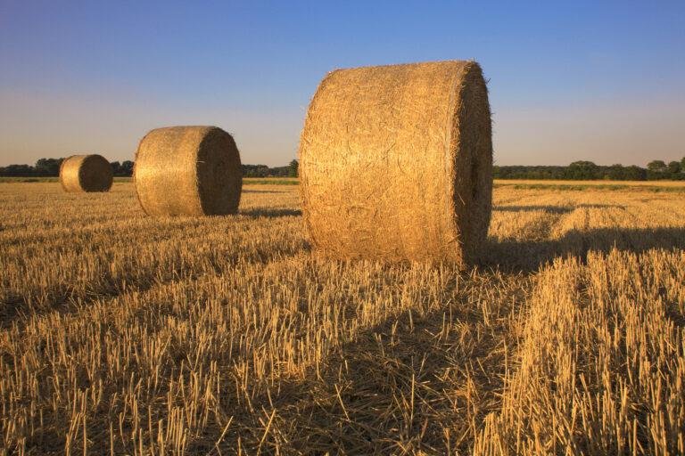 Sending out disciples