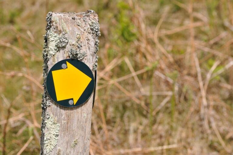 Jesus is… the one who sends