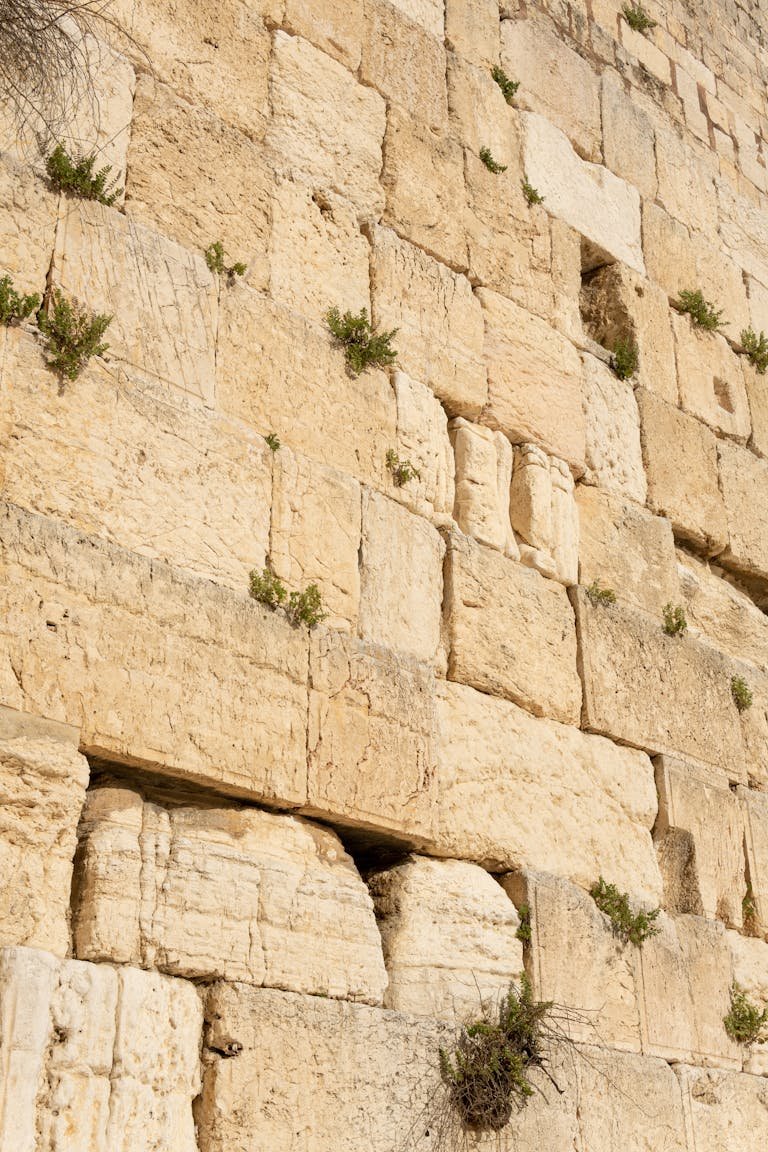 Detailed view of the ancient stones of the Western Wall in Jerusalem.