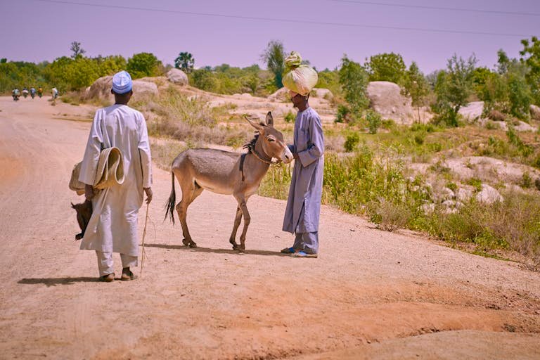 Two men and a donkey on a rural road with greenery and rocks, sunny day.
