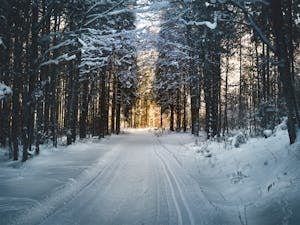 Stunning snowy path through a winter forest in Ebensee, Austria, with sunlight filtering through trees.